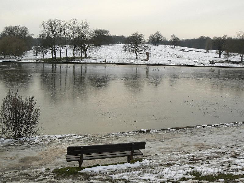 Winter, Hampstead Heath P1070557.JPG